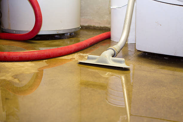 Basement Water Cleanup